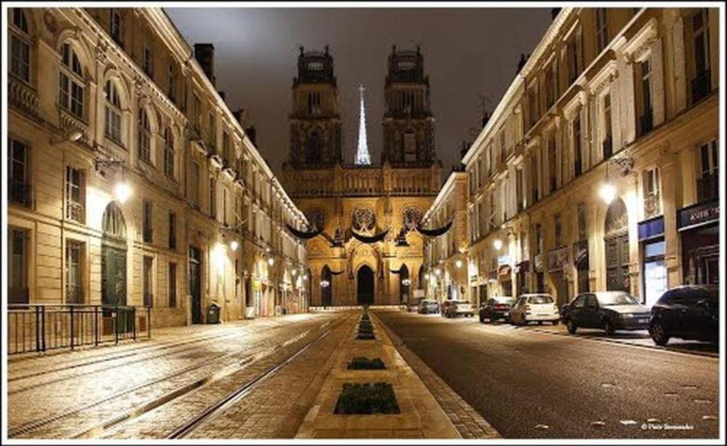 Duplex De Charme Orleans Hypercentre Cathedrale-Parking Possible Διαμέρισμα Εξωτερικό φωτογραφία